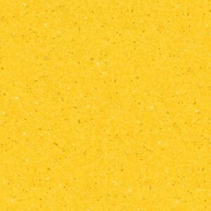 Lemon Zest Lemon Zest